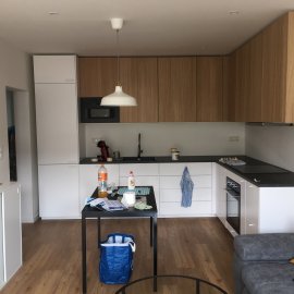 Rekonstrukce 3+kk Praha 10 - kuchyně