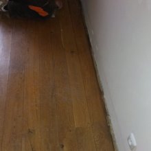 parkety před demontáží